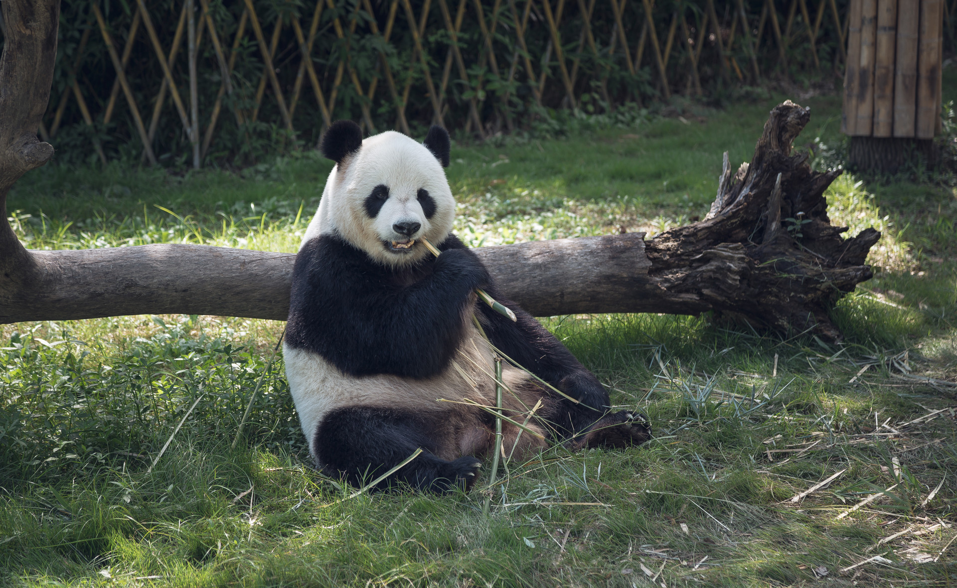 景點封面圖