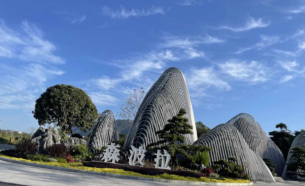 森波拉外觀(guān)封面圖