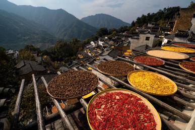 【國(guó)風(fēng)畫(huà)卷】<廬山、鄱陽(yáng)湖石鐘山、景德鎮(zhèn)、婺源篁嶺、三清山、夜游望仙谷6日游>