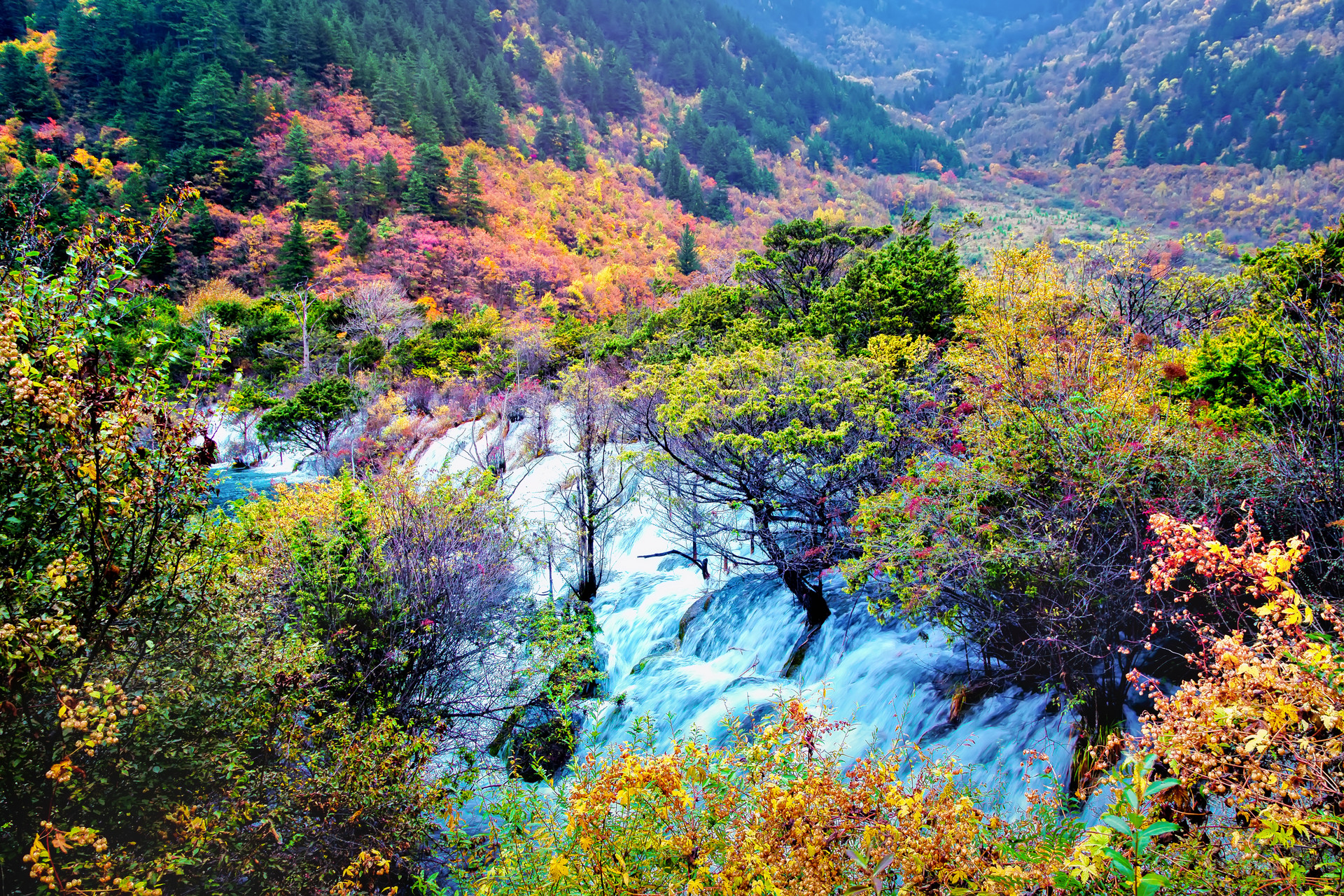 九寨溝風景圖1封面圖